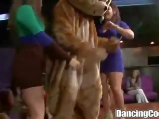 Dancingcock Big peter Loves